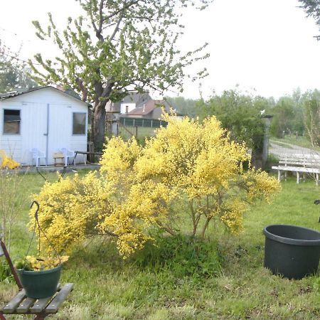 Ferme Lenfant Ville-Pommeroeul Exterior foto