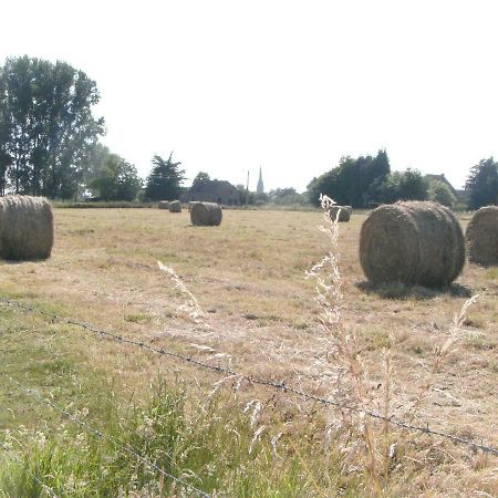 Ferme Lenfant Ville-Pommeroeul Exterior foto