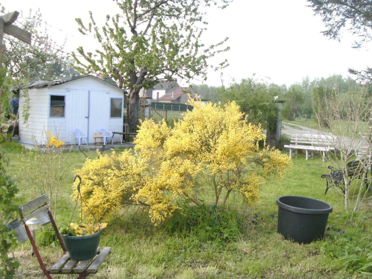 Ferme Lenfant Ville-Pommeroeul Exterior foto