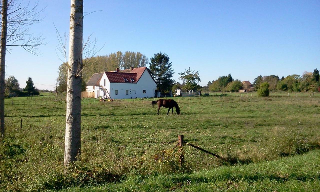 Ferme Lenfant Ville-Pommeroeul Exterior foto
